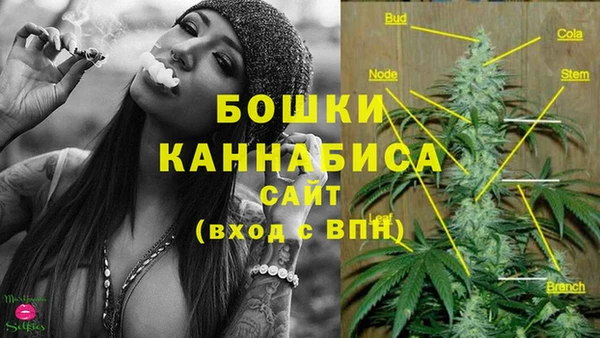 спиды Медногорск
