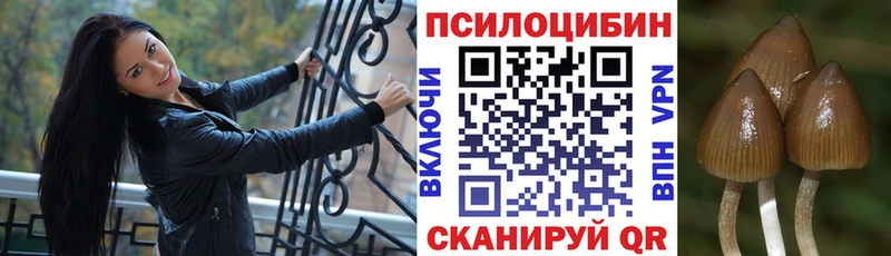 магазин  наркотиков  Пенза  Псилоцибиновые грибы GOLDEN TEACHER 