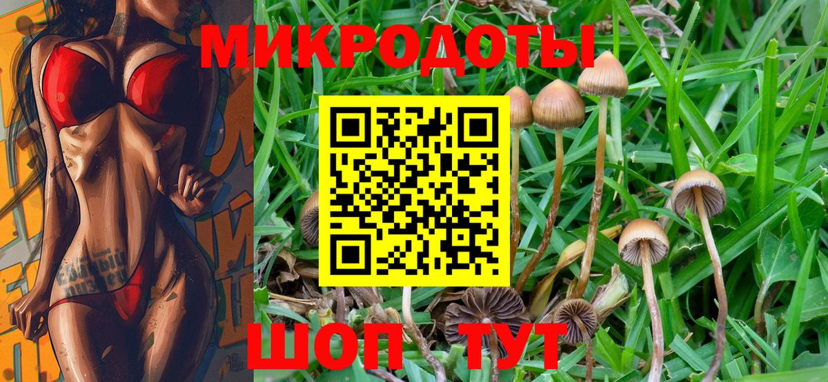 Галлюциногенные грибы прущие грибы  Галлюциногенные грибы прущие грибы  Пенза 