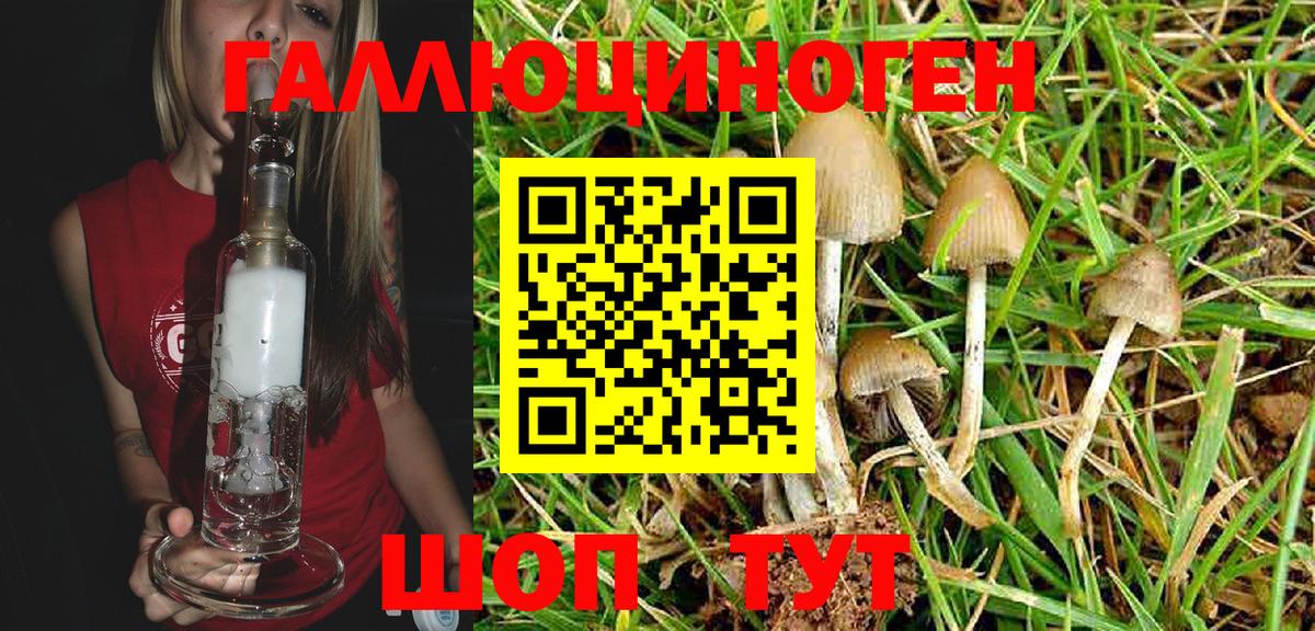 Псилоцибиновые грибы мицелий Пенза
