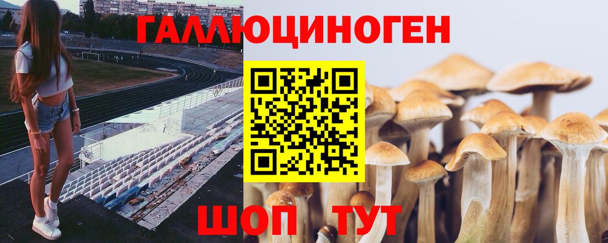Псилоцибиновые грибы GOLDEN TEACHER  Псилоцибиновые грибы MAGIC MUSHROOMS  Вход с VPN  Пенза 