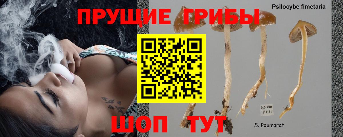 Галлюциногенные грибы MAGIC MUSHROOMS Пенза